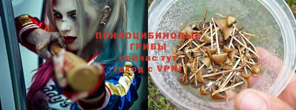 прущие крисы Беломорск