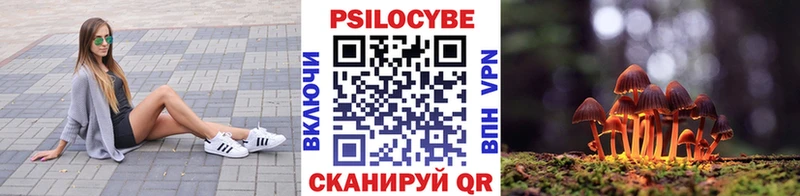 Галлюциногенные грибы Psilocybe  Купить где  Вольск 